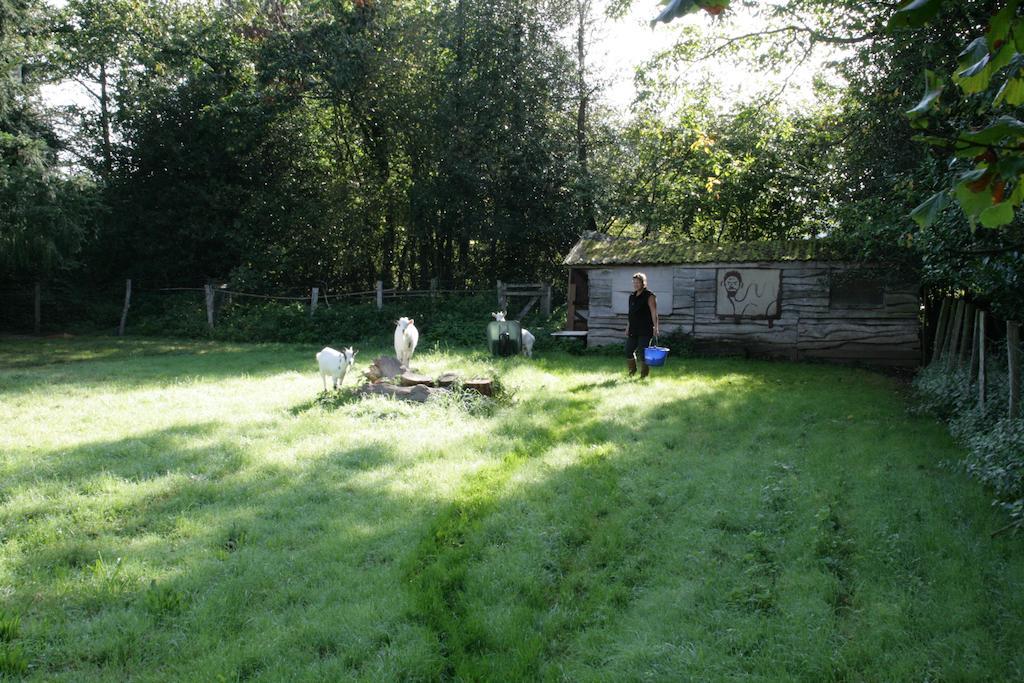 Le Petit Mas D'Ile Bed and Breakfast Saint-Germain-de-Confolens Exteriör bild